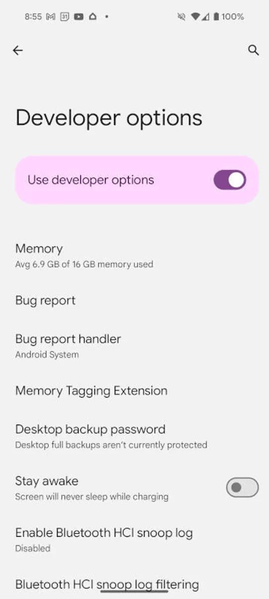 Developer-Option