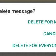 Delete WhatsApp Messages