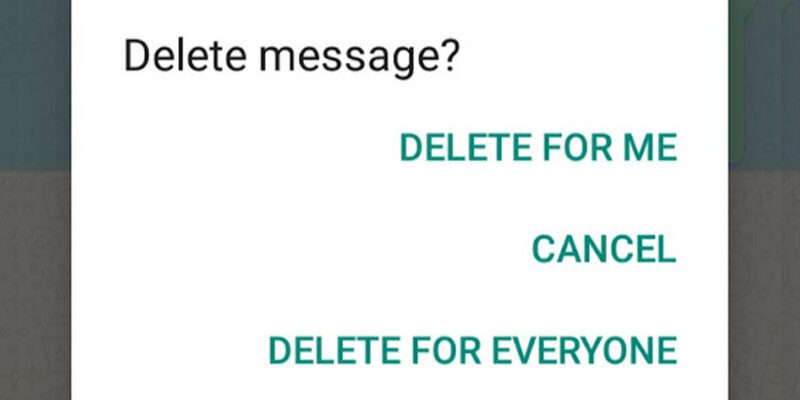 Delete WhatsApp Messages