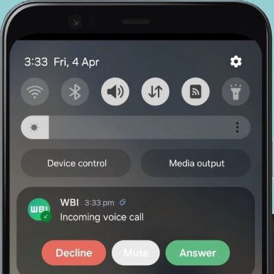 WhatsApp Voice & Calls