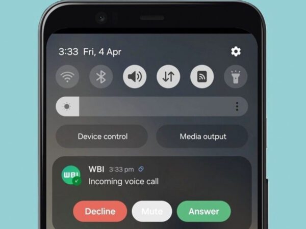 WhatsApp Voice & Calls