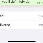 read WhatsApp without blue ticks