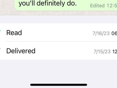 read WhatsApp without blue ticks