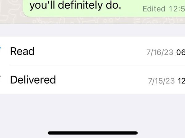 read WhatsApp without blue ticks