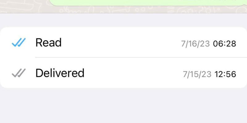 read WhatsApp without blue ticks
