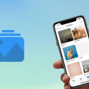 organize phone photos into albums