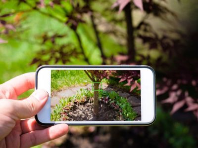 use phone to plan and manage garden allotment