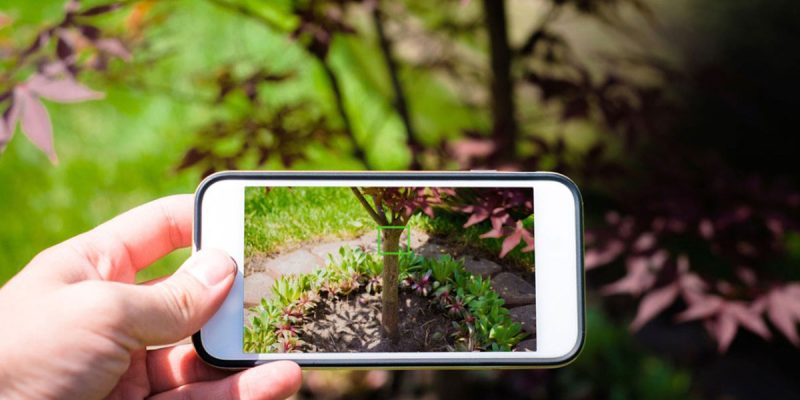 use phone to plan and manage garden allotment